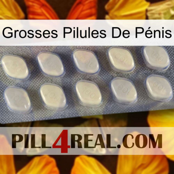 Grosses Pilules De Pénis 08